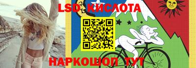 индика Боровичи