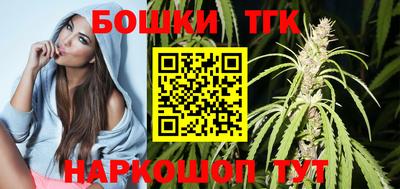 индика Боровичи