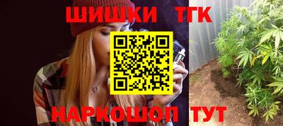 индика Боровичи